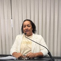 Vereadora Cida da Saúde solicita serviços de estacionamento no canteiro central da Norte Sul 