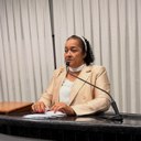 Vereadora Cida encaminhou ao Executivo solicitações para substituição da ponte na Avenida 7 de setembro e reforma das Unidades Básicas de Saúde