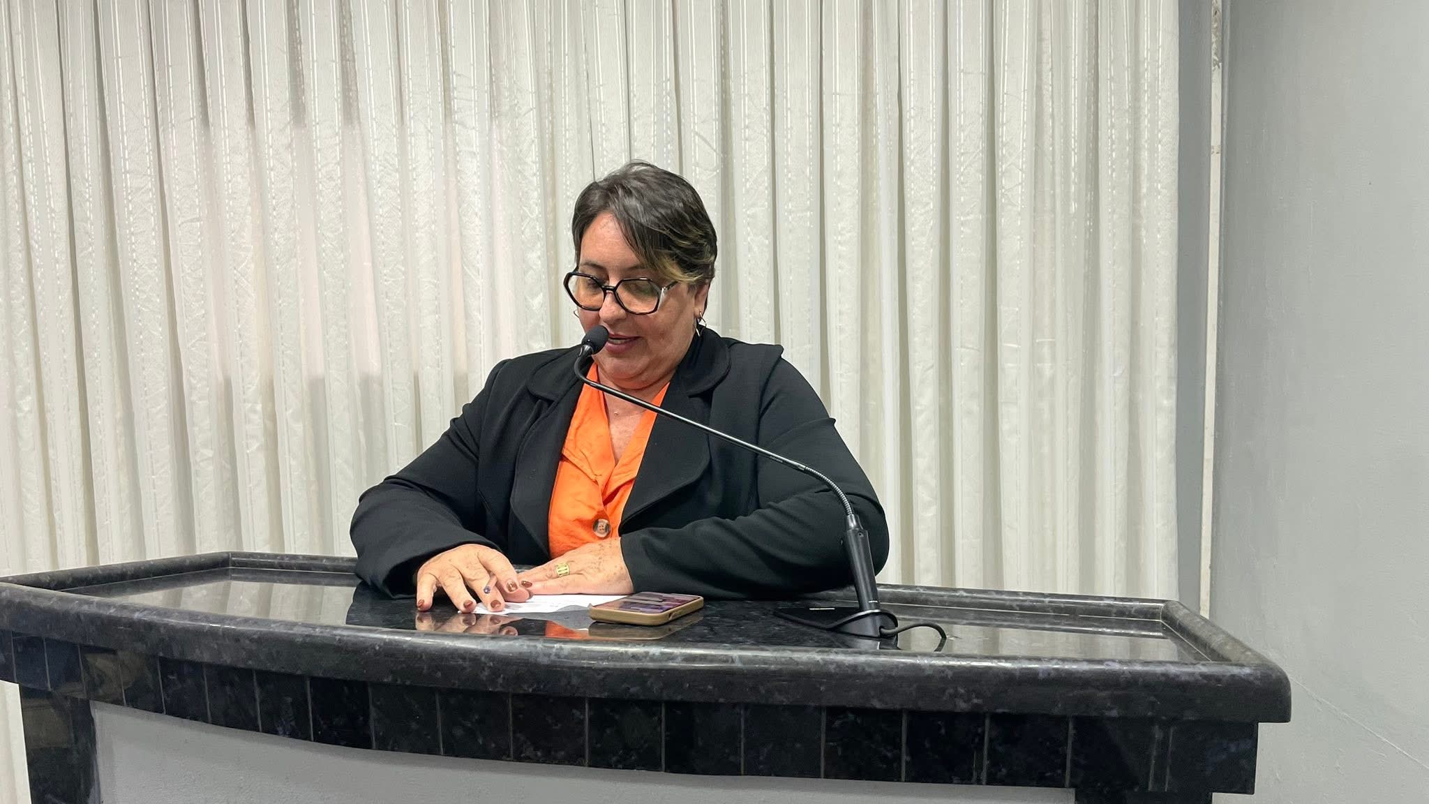 Vereadora Janete solicita pavimentação asfáltica na Avenida Manaus e construção de galeria pluvial na Avenida Florianópolis com a Rua Rio Verde