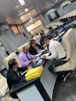 Vereadores membros das Comissões Temáticas da Casa, realizam reunião extraordinária Conjunta das Comissões